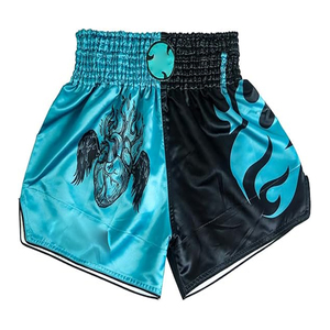 Short de boxe rétro Muay Thai brodé, vente directe d'usine, sport, course à pied, entraînement, short de boxe unisexe - Product Image 3