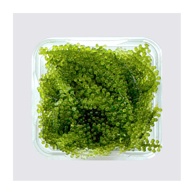 Морской виноград Naturegrail Umibudo-вкусная зеленая Икра, водоросли, обезвоженные морские сорта-карилн 0084935825297