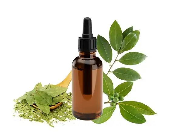 Bulk supplier of Bay Leaf Oil essential oil private label 100% Pure oil for soap, perfume multi puropose