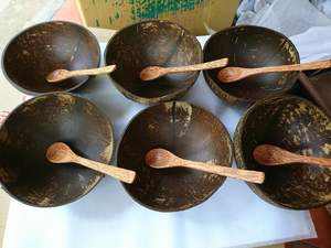 Bol en coquille de noix de coco écologique et durable fabriqué au Vietnam-Bol en coquille de noix de coco de haute qualité prêt à exporter - Product Image 4