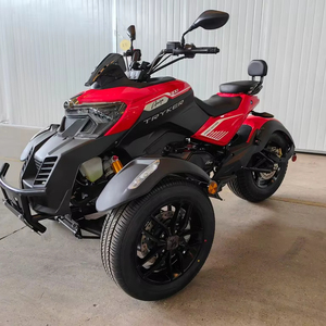 Rose Export 98% pré-assemblé Amigooos Trykerrr 300 EFI et freins à disque, avec marche arrière, 4 temps Street Legal, automatique. CARB - Product Image 1