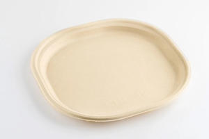 100% assiettes de bagasse de canne à sucre compostables de 6 à 12 pouces assiettes de bagasse biodégradables jetables naturelles avec respectueux de l'environnement - Product Image 4