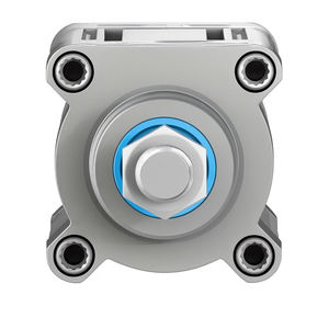 Oferta Especial DSBC-63-100-PPVA-N3 Nuevo en Existencia - Product Image 5