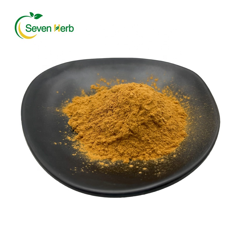 Wholesale High Quality 10:1 Isatis Indigotica Fort Extract Chinese Herbal Plant Radix Isatidis Extract Powder
