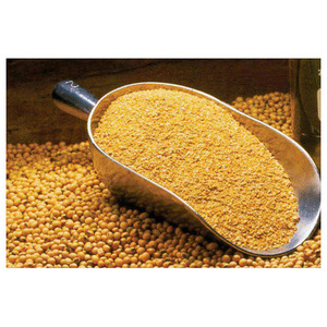 Harina de Pescado de Grado Exportación, Proveedor de Empaques a Granel, Ingrediente de Alimento con Alto Contenido Proteico para la Industria Global de Alimentos para Animales - Product Image 6