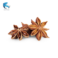 Vente en gros d'anis étoilé 100% d'anis naturel anis étoilé séché du Vietnam