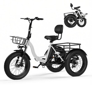 Bicicleta Eléctrica Triker Plus, Motor sin Escobillas de 1200W de Potencia Máxima, Triciclo Eléctrico para Adultos, Bicicleta Eléctrica Plegable de 48V 13Ah - Product Image 1