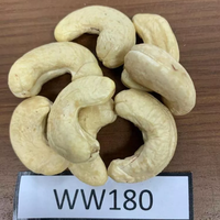 Échantillon Gratuit W180 Noix de Cajou Grillées Blanches Entières Origine Vietnam Binh Phuoc Grade A Norme AFI Export
