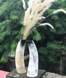 Maceta de Fibra de Cuerno de Búfalo, Macetas Coreanas para Plantas Suculentas y Flores, Tamaño Personalizado de f s international - Product Image 4