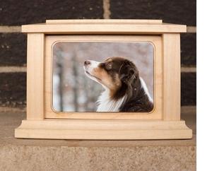 Wood Pet Urn for <b>Ashes</b> <b>Dog</b> Cat <b>Box</b> Personalized Cremation Casket Engraved Bespoke Small Medium Large - Product Image 6