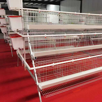 Système de cages à poulets de type A, cages en batterie pour poules pondeuses, équipement d'élevage avicole automatique pour la production commerciale d'œufs
