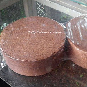 Suelo nutritivo con prensa de bloques de turba de coco/bloques de turba de coco de 5kg de alta calidad y precio barato de Eco2go Vietnam - Product Image 5