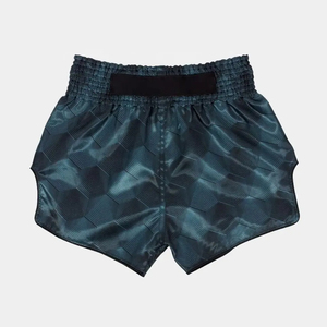 High Quality <b>Men's</b> Spandex/Nylon Kick Boxing & <b>Muay</b> <b>Thai</b> Fight <b>Shorts</b> with Customizable Color/Design/Logo for Martial Arts - Product Image 5
