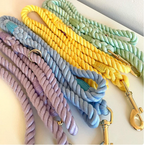 Laisse de corde vert menthe-Laisse de marche pour chien en coton durable et solide - Product Image 1