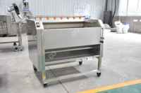 Pakistan Semi Automatische Bevroren Frieten Productielijn Verse Chips Maker Machine