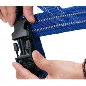 Conjunto de Correa y Arnés de Estilo Clásico para Perros Pequeños, Hecho de Nailon con Malla Transpirable, de un Proveedor Vietnamita - Product Image 3