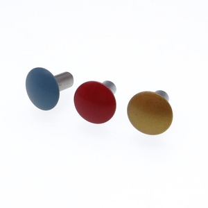 Rivet décoratif en acier et aluminium massif à tête large peinte et colorée - Product Image 1