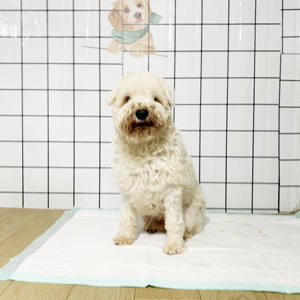 Gran oferta, 60x60, 60x90, almohadillas impermeables para cachorros, alfombrillas absorbentes desechables de <span class=keywords><strong>Walmart</strong></span>, almohadillas para perros de secado rápido, almohadillas para mascotas al por mayor - Product Image 2