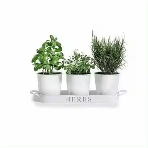 SUPPORT DE POT DE VÉLO DE MEILLEURE QUALITÉ PORTE-PLANTES DE FLEURS DÉCORATIVES POUR MAISON ET JARDIN - Product Image 5