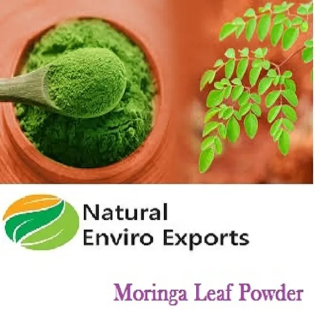 Poudre de feuille de Moringa pure et fraîche avec certification biologique utilisée pour améliorer la teneur en nutriments