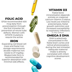 Suplemento Dietético Multivitamínico Maternal NH Vitalmam, 30 Tabletas, 800mg, RedMoringa, Marca Privada, Hecho en Italia, Higiene Femenina - Product Image 3