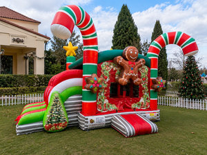 Professional <b>Inflatable</b> Playground 4x5x4 m – PVC Bouncy <b>House</b> – Outdoor/Indoor Professional Use – EU Compliance - Product Image 3