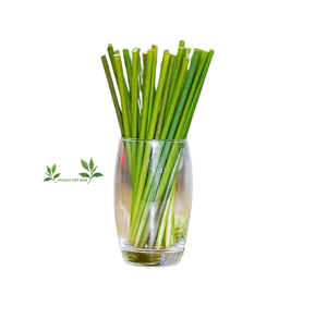 2025 nouveaux accessoires de verres biodégradables de pailles d'herbe jetables écologiques avec échantillon gratuit fabriqués à Eco2go Vietnam - Product Image 1