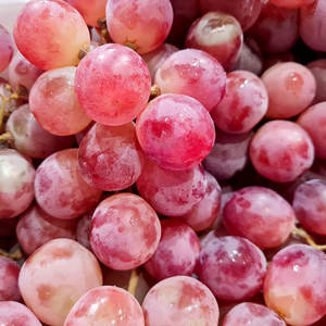 Uvas Frescas Sunshine Rose Sin Semillas, de Mesa, de Alta Calidad, Blancas y Verdes, Dulces y Sin Semillas, al por Mayor - Product Image 2