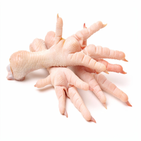 Pieds, ailes, cuisses et têtes de poulet halal surgelés de qualité supérieure, transformés IQF, emballage de qualité export