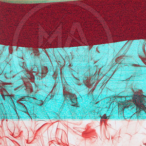 Mallas deportivas de secado rápido transpirables sin costuras de cintura alta sólidas para mujer para entrenamiento Yoga Activewear - Product Image 6