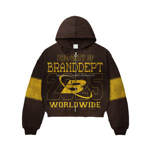 Top Qualité Bas Prix Nouveau Style Hoodies pour Hommes Séchage Rapide Odeur Preuve Top Vente Hoodies pour Hommes Personnalisé Basics À Capuche - Product Image 2