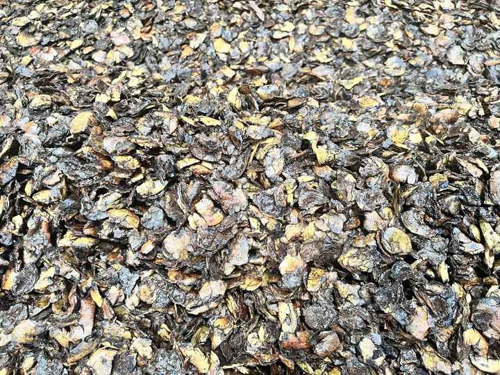 Cheap Price Cashew Nut Shell Residue Waste Pellets - Cashew Husk Powder for Animal Feed  From Vietnam