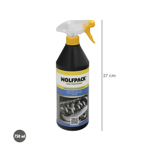 Detergente per Motori di Auto e Moto 750 ml. - Product Image 2