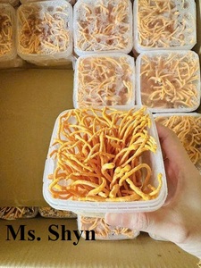 Venta al por mayor liofilizado Cordyceps Militaris flores secas Cordyceps Militaries seta 100% puro natural más valorado-Sra. Shyn - Product Image 5