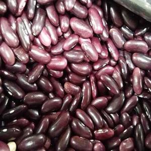 ขายส่งธรรมชาติอินทรีย์น้ำตาลสีขาวถั่ว/ขนาดใหญ่สีขาวถั่วไตอียิปต์ - Product Image 6