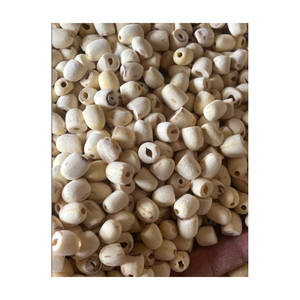 Vente en gros de graines de lotus premium Vietnam, coeurs de lotus séchés naturels parfaits pour la nourriture, le thé de sommeil et l'exportation dans le monde entier - Product Image 2