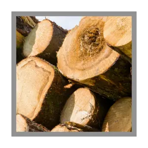Teak wood Hot Wholesale Custom 100% raw Pine Wood Logs Best Price High Quality round logs for sale Vietnam Product Supplier