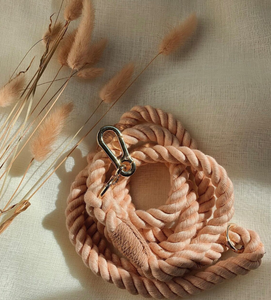 Aluminium Alloy Buckle. Luxury Puppy <b>Leash</b>. Pup. Pooch. DoggyLeash - Ombre <b>Dog</b> <b>Leash</b> - <b>Dog</b> Lead - Product Image 2
