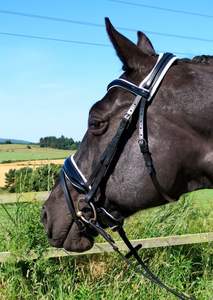 FSS FREEFORM Comfort WHITE Anatomique Casque CUT AWAY Museband BREVET Bride Fabricant Prix bon marché et cheval de bonne qualité - Product Image 6