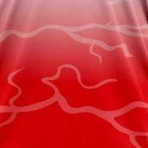 เสื้อซอฟต์บอลผ้าเจอร์ซีย์ออกแบบได้ตามที่ต้องการระบายอากาศได้น้ำหนักเบา100% โพลีเอสเตอร์ปรับแต่งโลโก้ของคุณเอง - Product Image 5