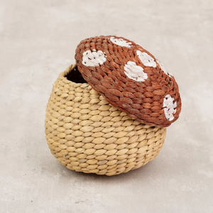 Cesta de Almacenamiento de Coco Tejida a Mano con Tapa para Hongos - Product Image 4
