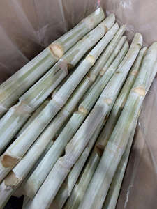 Morceaux de canne à sucre congelés directs d'usine meilleur prix pour faire l'approvisionnement en jus de canne à sucre pressé à froid rafraîchissant - Product Image 2