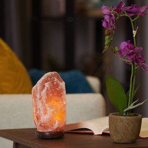 100% Hand Carved Pink <b>Salt</b> <b>Lamps</b> Natural Shape Decorative Table <b>Salt</b> <b>Lamps</b> Best for Decoration <b>Crystal</b> <b>Salt</b> <b>Lamp</b> - Product Image 3