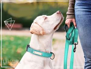 Correa Ajustable de Nailon con Diseño Floral para Perros, con Asa Acolchada, Estilo Simple, Resistente, para Perros Medianos y Grandes - Fábrica OEM/ODM - Product Image 2