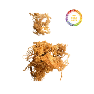 Fournisseur d'algues Seamoss proposant des Eucheuma Cottonii séchés en vrac à grande échelle du Vietnam avec contrôle de l'humidité de la forme de couleur stable - Product Image 1