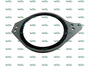 10035783 SEALING <b>RING</b> FOR CONCRETE PUMP -SCHWING - Product Image 1