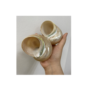 99 Gold Data Vietnam fournit une coquille de conque blanche et verte de haute qualité pour l'art et les décorations sur le thème de la mer - Product Image 6