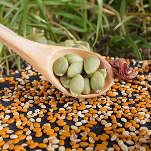 Suministro de Fábrica: Semillas de Calabaza Secas en Paquete Pequeño, Cosecha 2026, Calidad AA y AAA, Buen Precio - Product Image 6