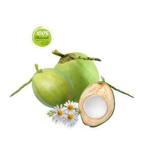 Coco de Agua Dulce de Vietnam, Fruta Subtropical de Primera Calidad, Fresca, Madura, Agrícola, Semi-Descascarillada, Joven, de 12 a 15 cm - Product Image 2