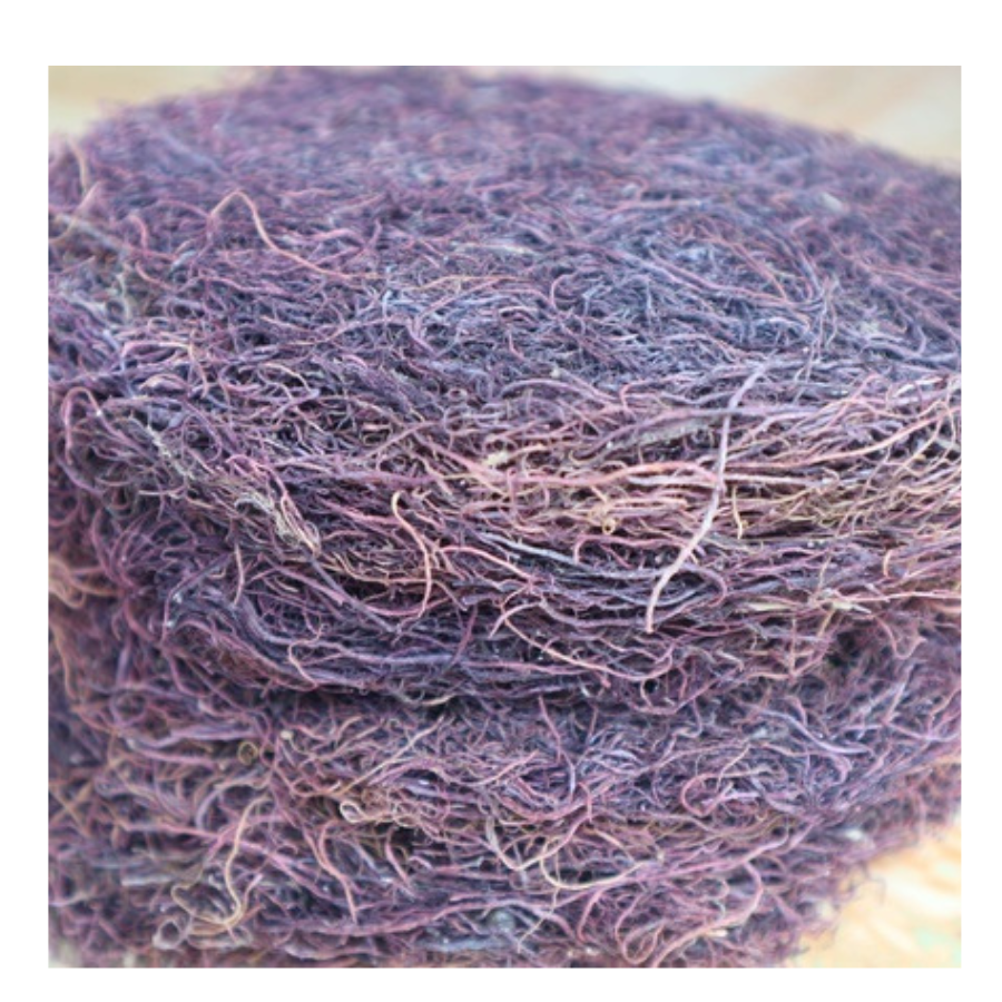 Golden Seaweed With Branches No Salt Best Selling Product 100 Percent Natural From Vietnam
